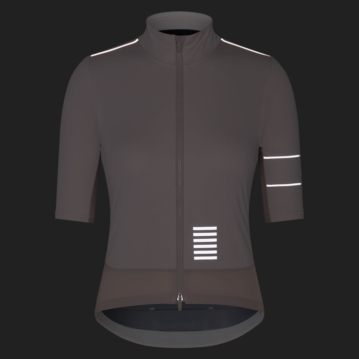 Women's Pro Team Windstopper Jersey - Silver/Silver Reflective