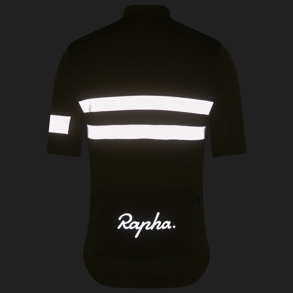 Men's Brevet Jersey - Dark Khaki/Silver