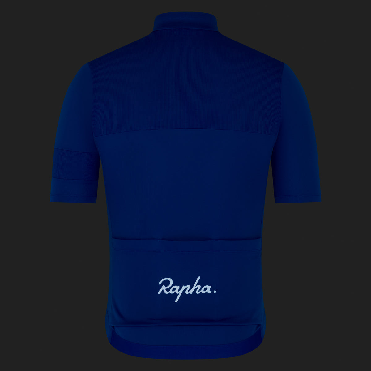Men's Brevet Element Jersey - Cobalt/Dark Navy