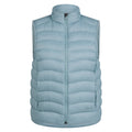 Women's Down Gilet - Fossil/Willow
