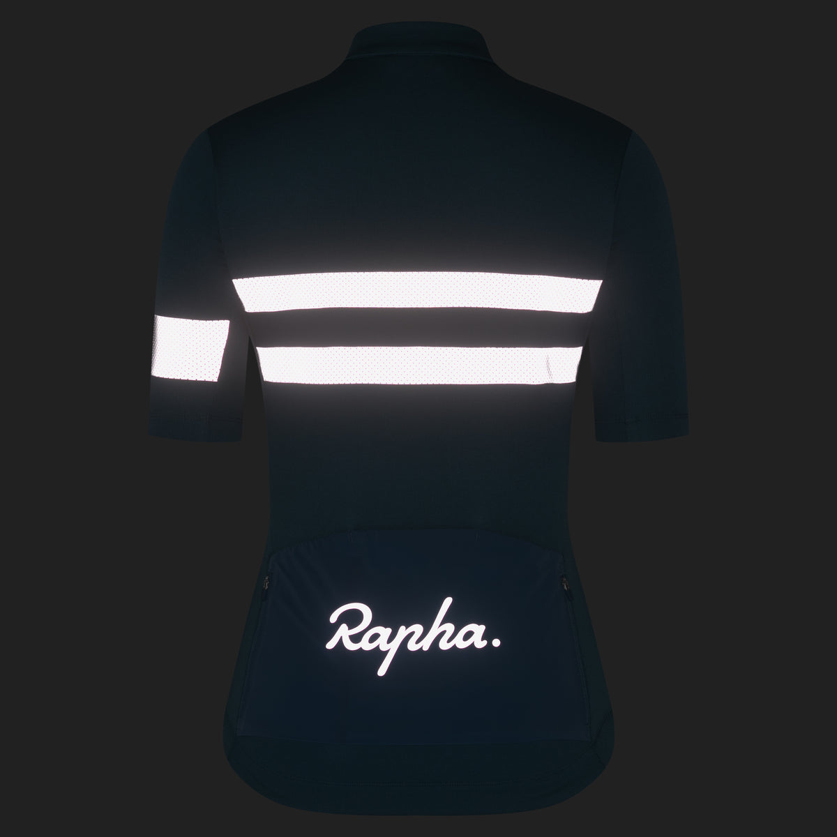Women's Brevet Jersey - Provincial Blue/Silver Reflective